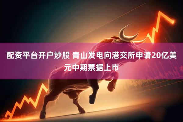 配资平台开户炒股 青山发电向港交所申请20亿美元中期票据上市