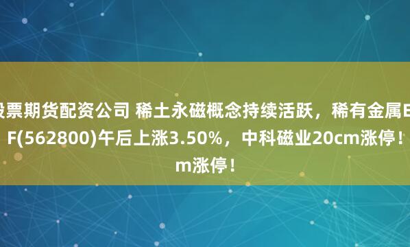 股票期货配资公司 稀土永磁概念持续活跃，稀有金属ETF(562800)午后上涨3.50%，中科磁业20cm涨停！