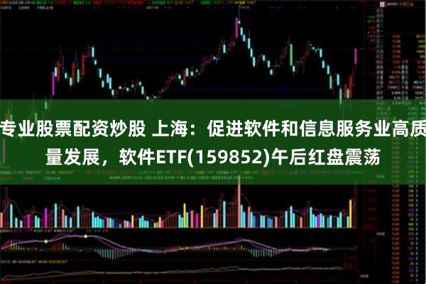 专业股票配资炒股 上海：促进软件和信息服务业高质量发展，软件ETF(159852)午后红盘震荡