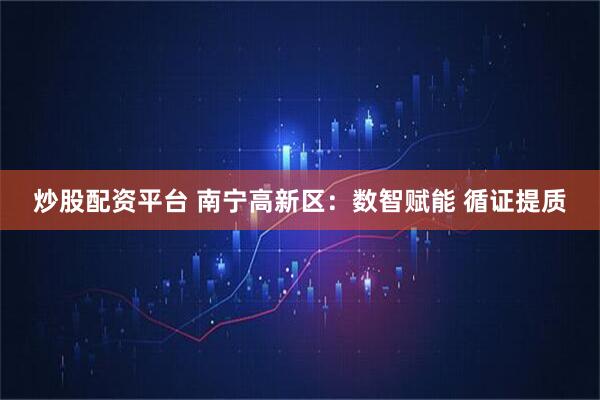 炒股配资平台 南宁高新区：数智赋能 循证提质